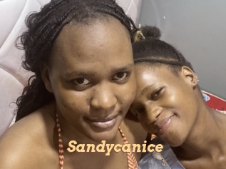 Sandycanice