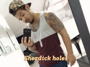 Sherdick_holes