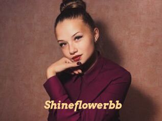 Shineflowerbb