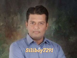 Siliboy7291