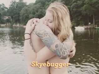 Skyebugger