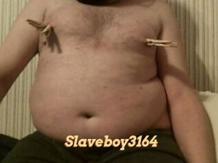 Slaveboy3164