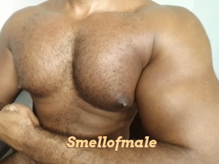 Smellofmale