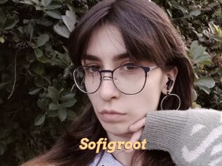 Sofigroot