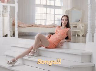 Songull