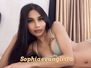 Sophiaevanglista