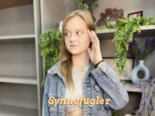 Synnefugler