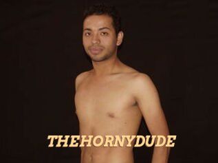 THEHORNYDUDE