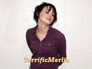 TerrificMerlin