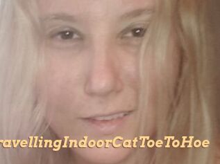 TravellingIndoorCatToeToHoe