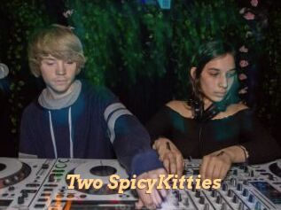 Two_SpicyKitties