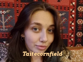 Taitecornfield