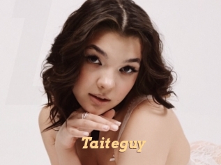 Taiteguy