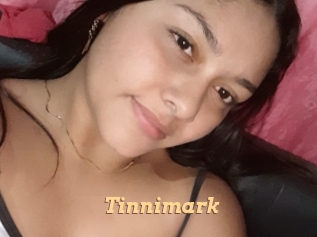 Tinnimark