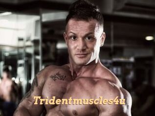 Tridentmuscles4u