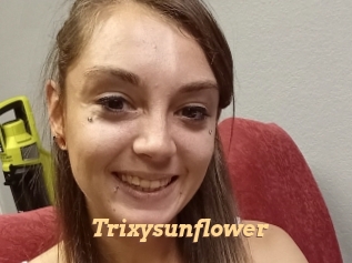 Trixysunflower