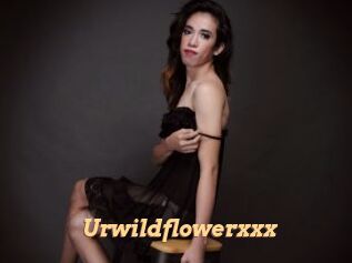 Urwildflowerxxx