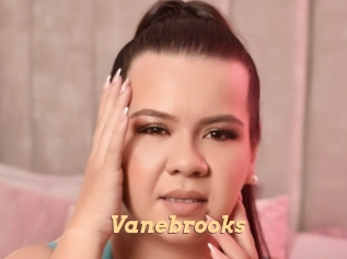 Vanebrooks