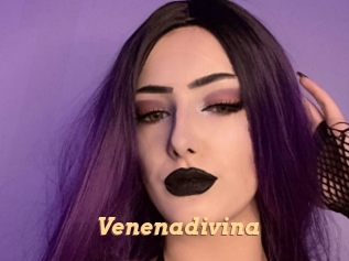 Venenadivina