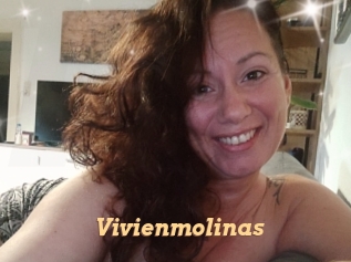 Vivienmolinas