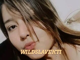 WILDSLAVEKTI