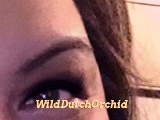 WildDutchOrchid