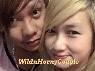 WildnHornyCouple