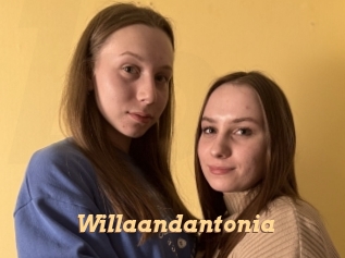 Willaandantonia