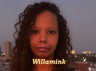 Willamink