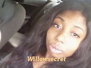 Willow_secret