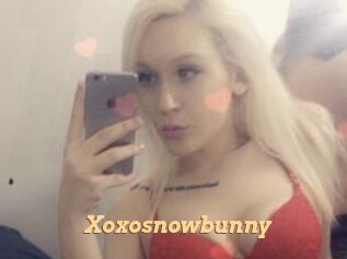 Xoxosnowbunny