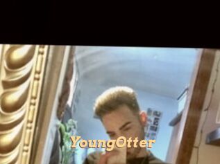 YoungOtter
