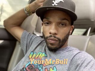 YourMrBull Live Paradise