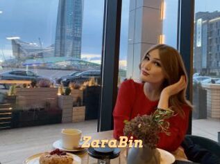 ZaraBin